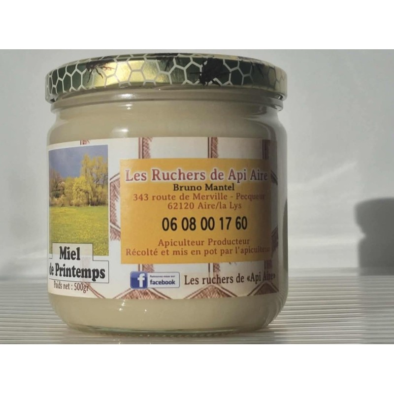 MIEL DE PRINTEMPS pot de 500g