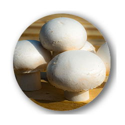 CHAMPIGNON DE PARIS BLANC 250G
