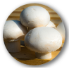 CHAMPIGNON DE PARIS BLANC 250G
