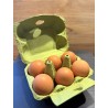 OEUFS PAR 6