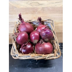 OIGNON ROUGE 1 kg