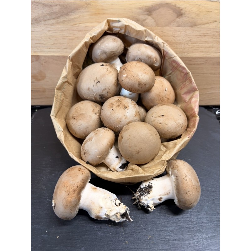 CHAMPIGNON DE PARIS ROSE 250G