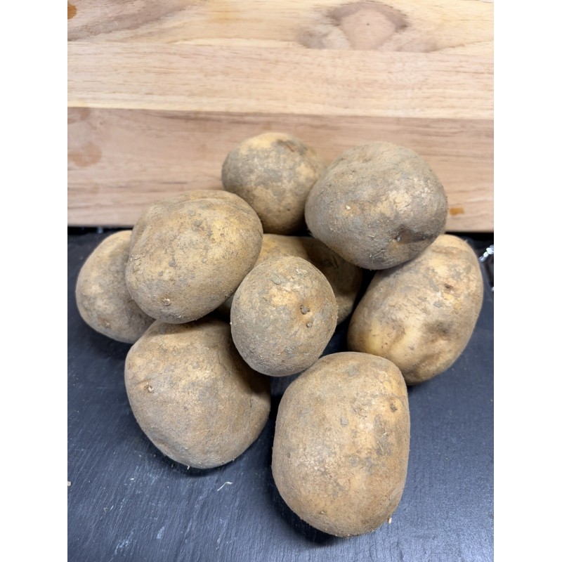 POMME DE TERRE MELODY 10 KG